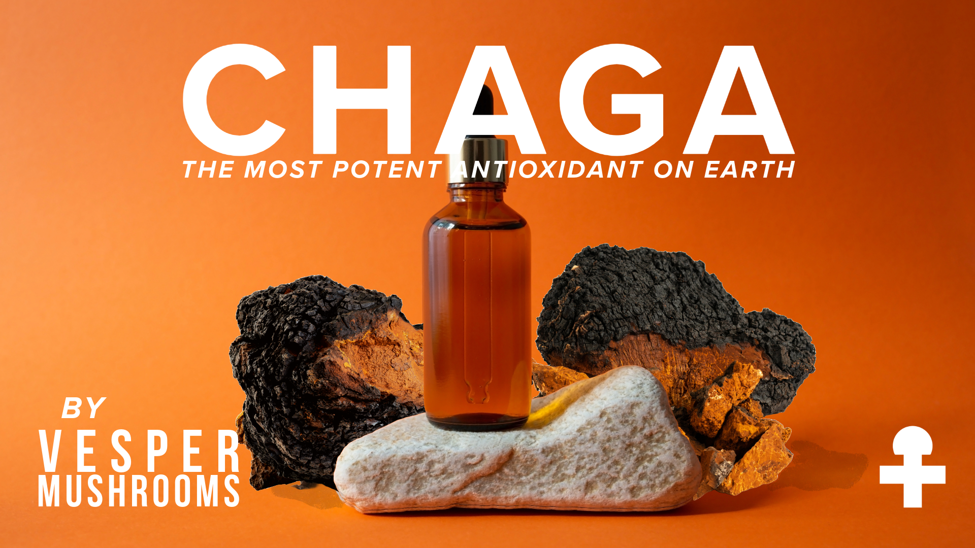 Chaga mushroom and Vesper extract