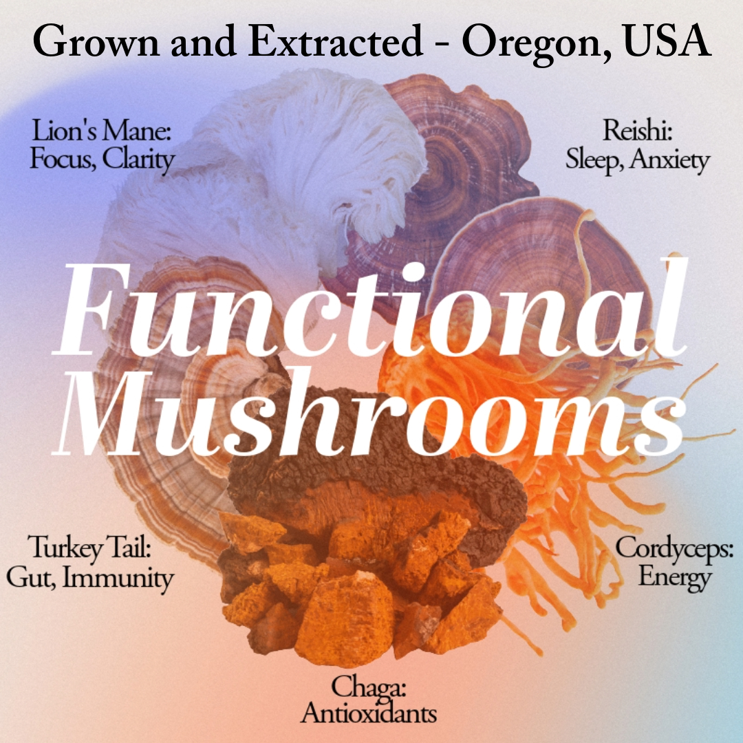 The five functional mushrooms: lion's mane, reishi, cordyceps, turkey tail, and chaga