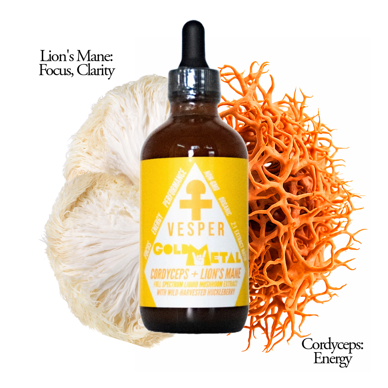 Vesper Gold Metal Cordyceps and Lion's Mane liquid extract